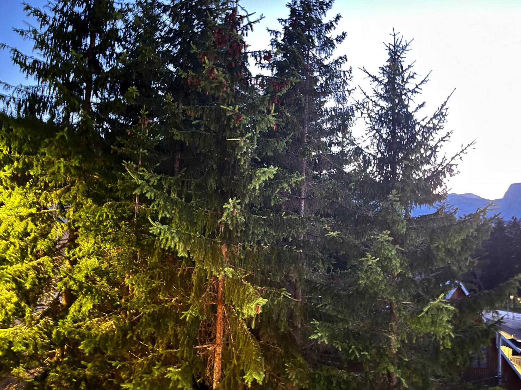 Vila Idila Žabljak Dış mekan fotoğraf